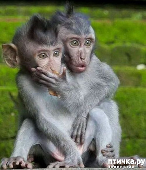 ����: ������� ���������� � ���������