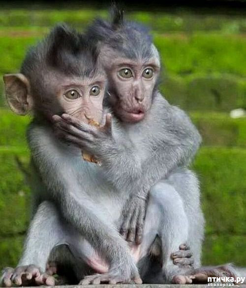 ���� 1: ������� ���������� � ���������