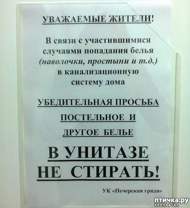 ���� 2: ������� ���������� � ���������