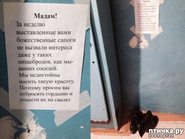 ���� 3: ������� ���������� � ���������