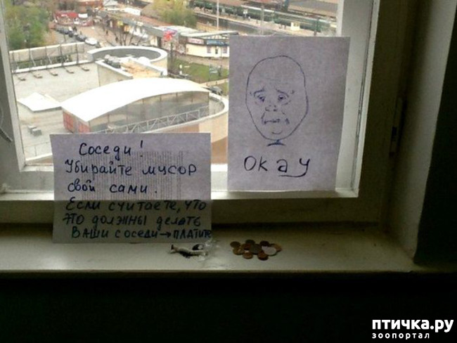 ���� 4: ������� ���������� � ���������