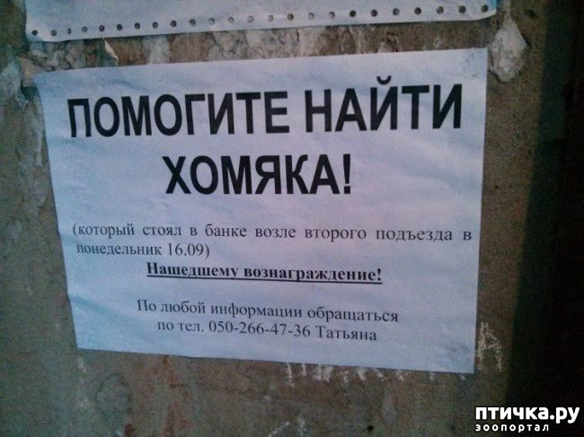 ���� 6: ������� ���������� � ���������