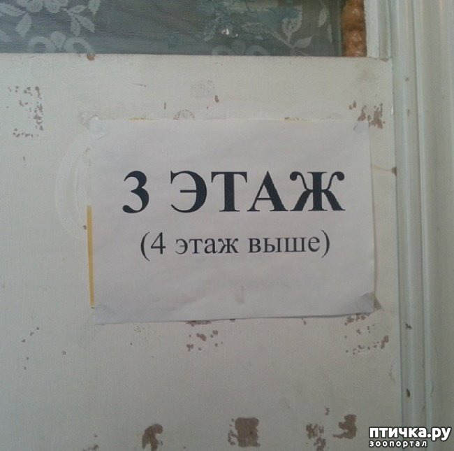 ���� 8: ������� ���������� � ���������