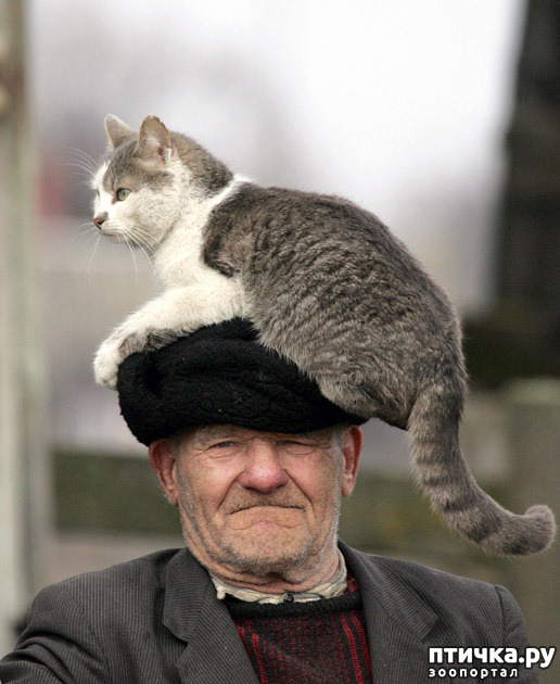 ���� 11: ������� �����