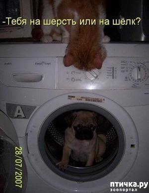 ����: ������, � �����... � ������ �����, �?!