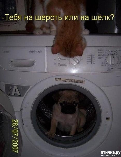 ���� 1: ������, � �����... � ������ �����, �?!