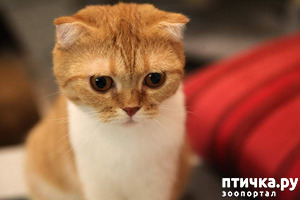 ����: ����� �� ��������� ����. ��� ������ ����, ���-�� ���� �������