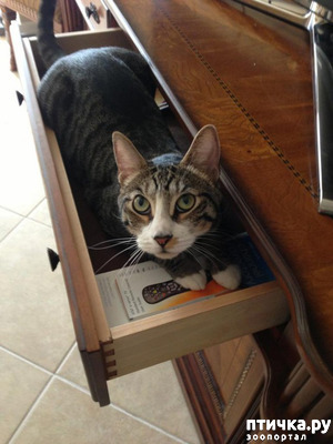 ����: ����������� �� ����: "����� ����������"