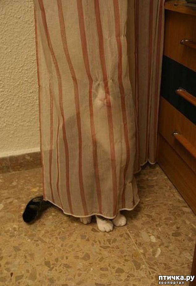 ���� 2: ����������� �� ����: 