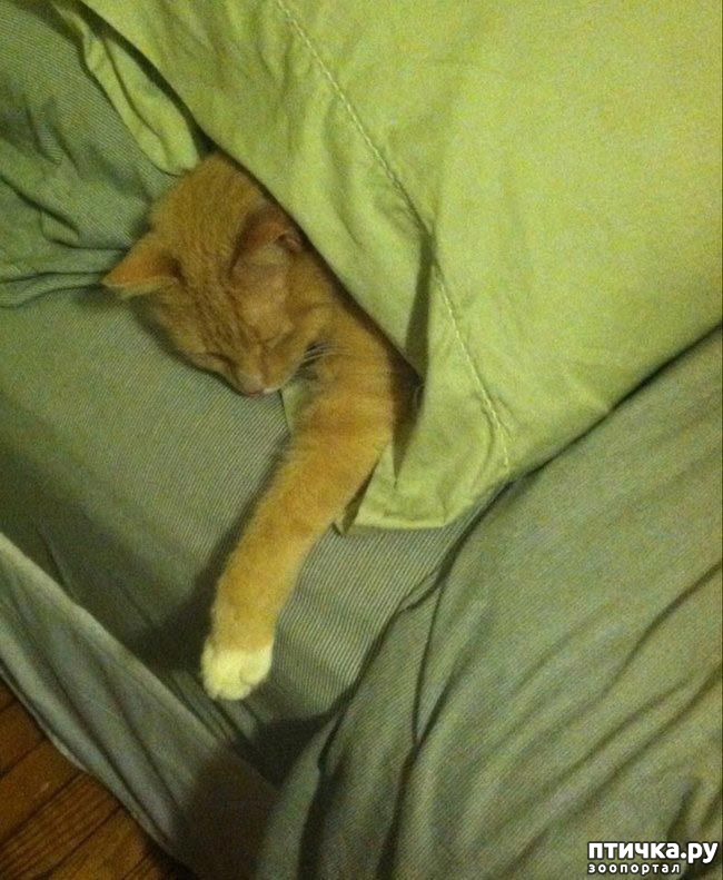 ���� 10: ����������� �� ����: 