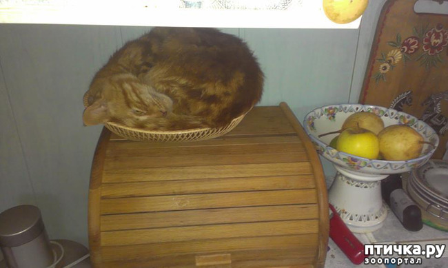 ���� 11: ����������� �� ����: 