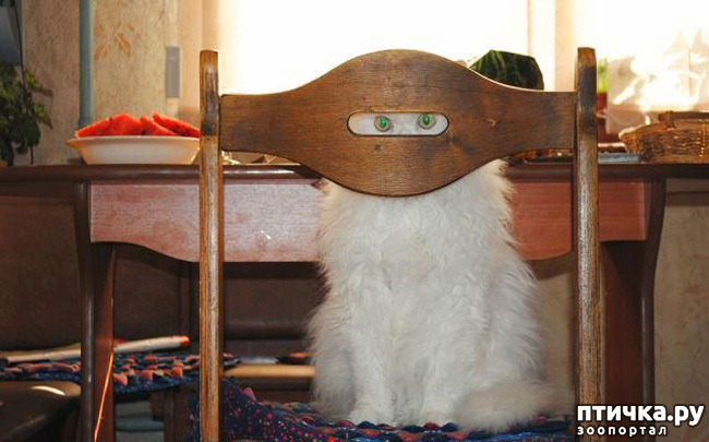 ���� 19: ����������� �� ����: 