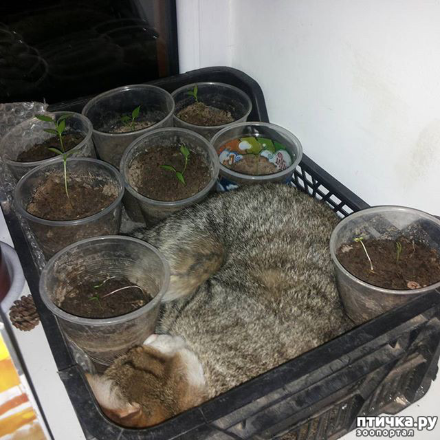 ���� 18: ����������� �� ����: 