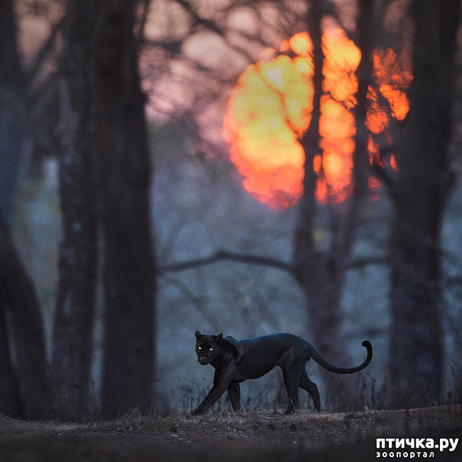 ���� 2: ����� ������� ������� �����