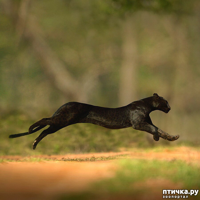 ���� 4: ����� ������� ������� �����