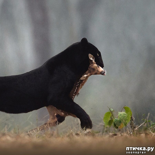 ���� 5: ����� ������� ������� �����