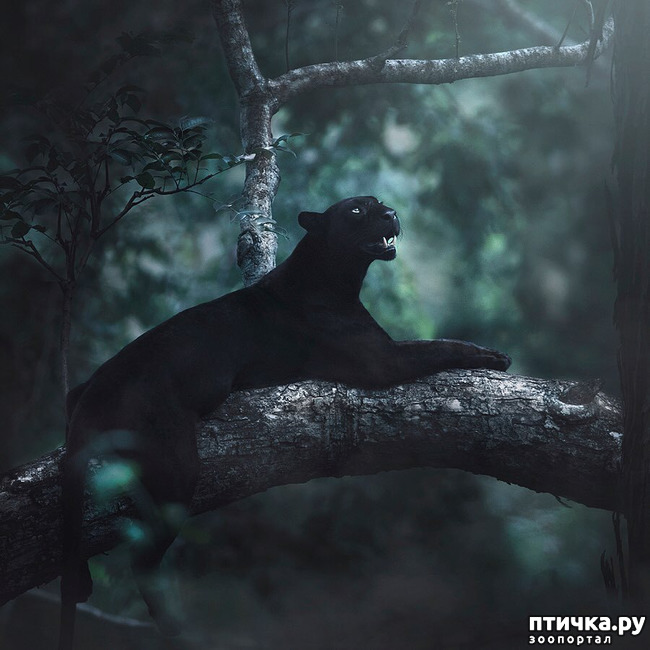 ���� 6: ����� ������� ������� �����