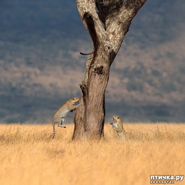 ���� 7: ����� ������� ������� �����