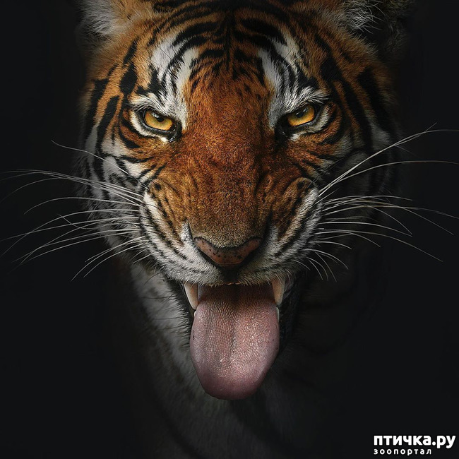 ���� 8: ����� ������� ������� �����