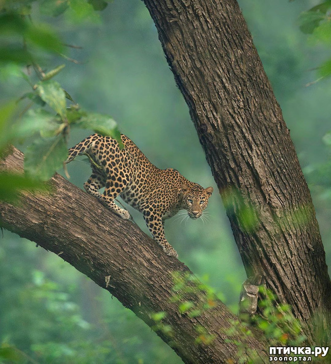 ���� 9: ����� ������� ������� �����