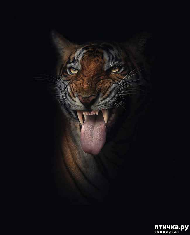 ���� 14: ����� ������� ������� �����