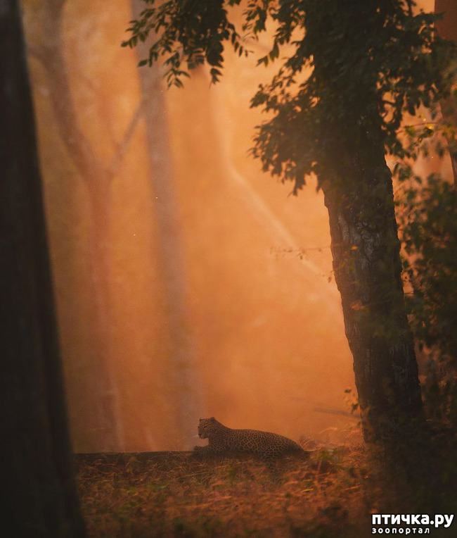 ���� 13: ����� ������� ������� �����