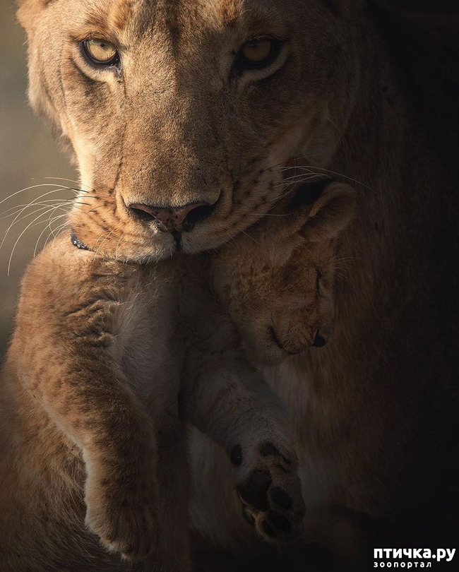 ���� 12: ����� ������� ������� �����