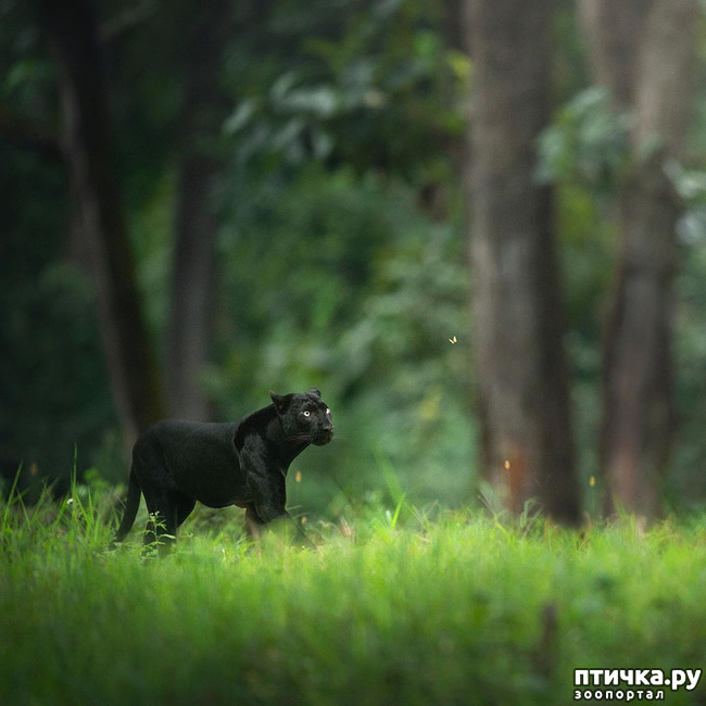 ���� 16: ����� ������� ������� �����