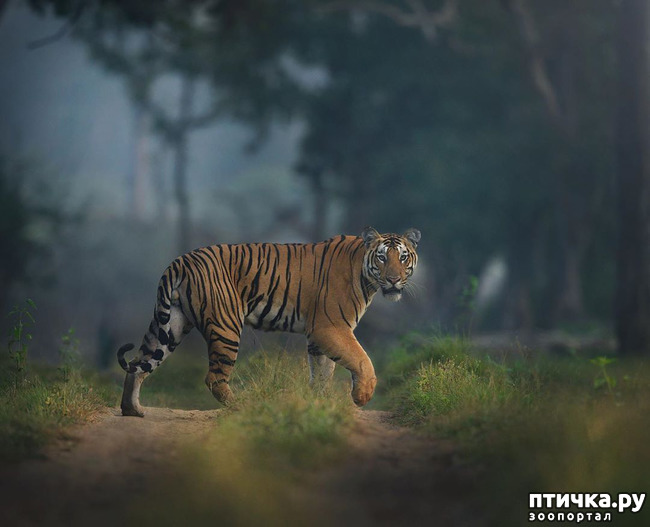 ���� 15: ����� ������� ������� �����