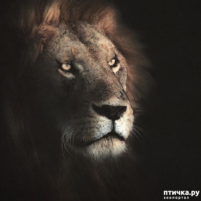 ���� 18: ����� ������� ������� �����