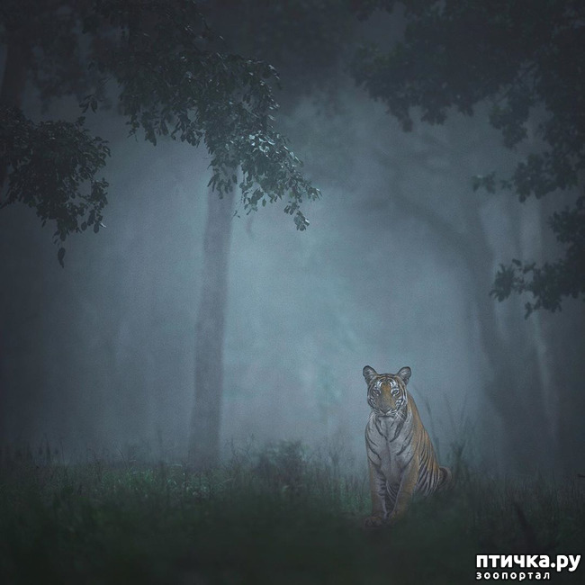 ���� 20: ����� ������� ������� �����