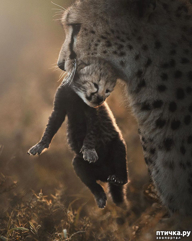 ���� 19: ����� ������� ������� �����