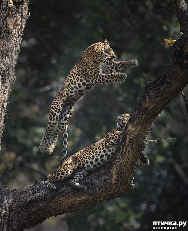 ���� 22: ����� ������� ������� �����