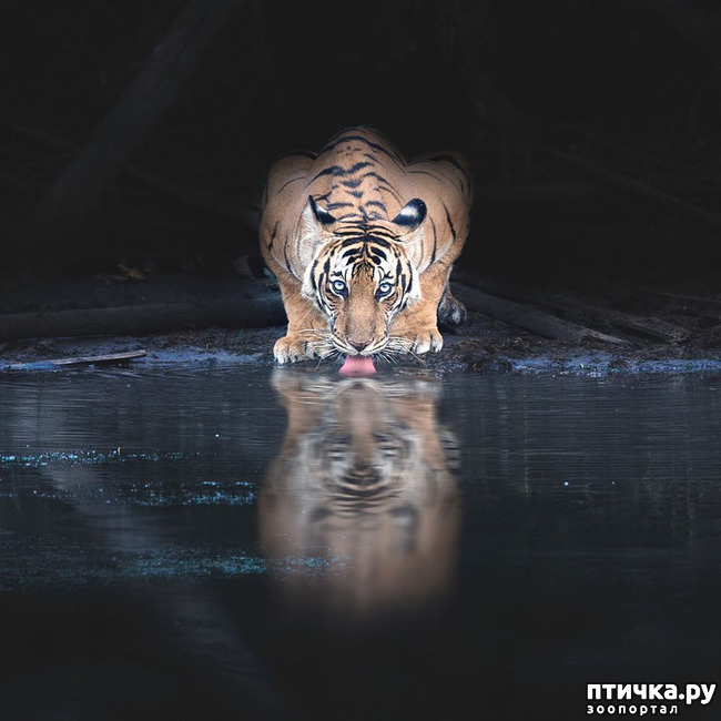 ���� 21: ����� ������� ������� �����