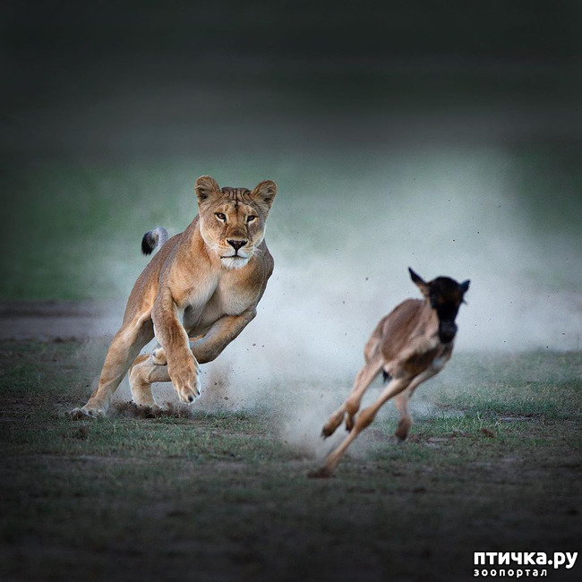 ���� 24: ����� ������� ������� �����