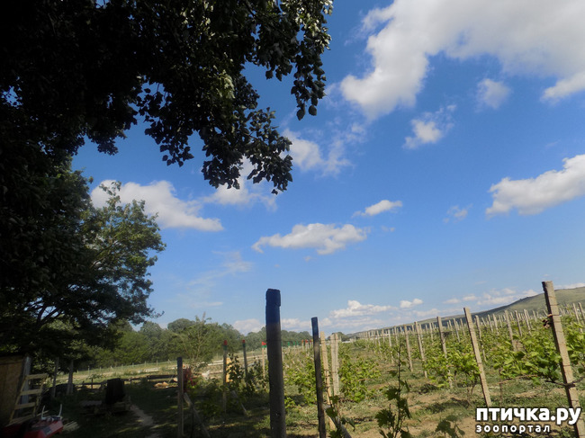 ���� 1: � ���, � ��...