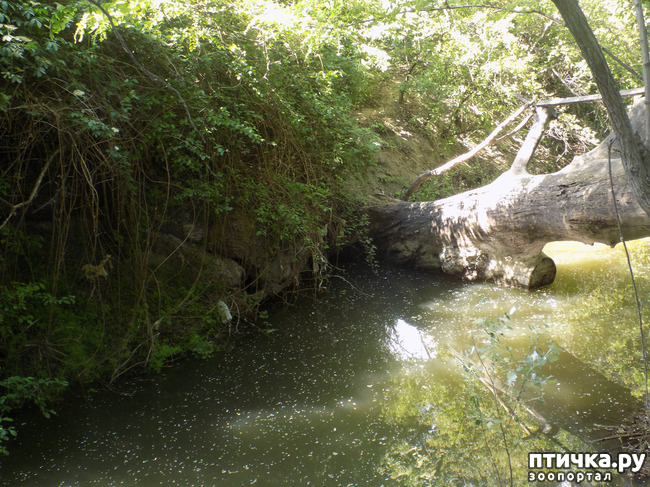 ���� 2: � ���, � ��...