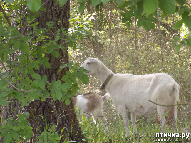 ���� 3: � ���, � ��...