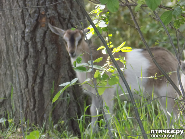 ���� 4: � ���, � ��...