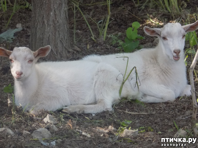 ���� 5: � ���, � ��...