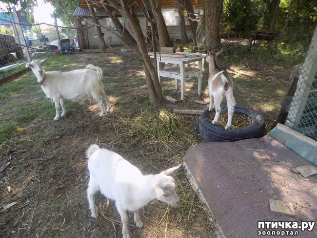 ���� 6: � ���, � ��...