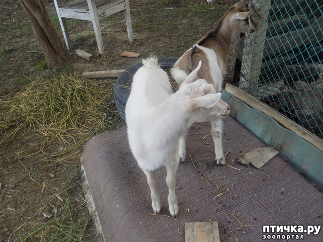 ���� 7: � ���, � ��...