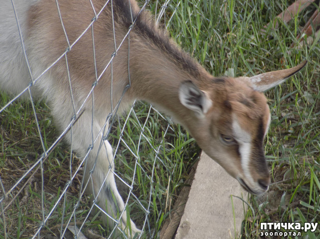 ���� 8: � ���, � ��...