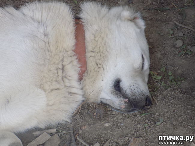 ���� 9: � ���, � ��...