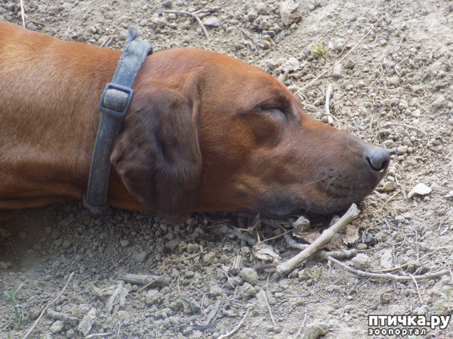 ���� 11: � ���, � ��...