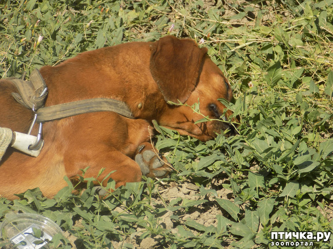 ���� 12: � ���, � ��...