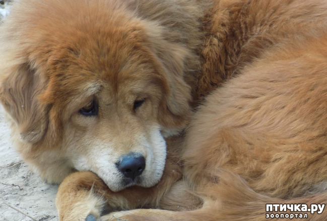 ���� 13: � ���, � ��...