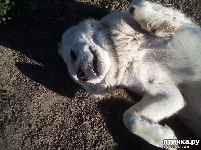 ���� 14: � ���, � ��...