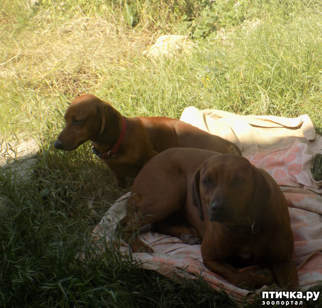 ���� 15: � ���, � ��...