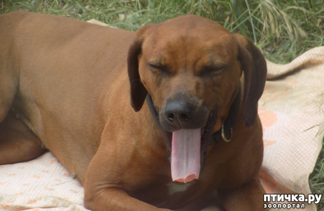 ���� 16: � ���, � ��...